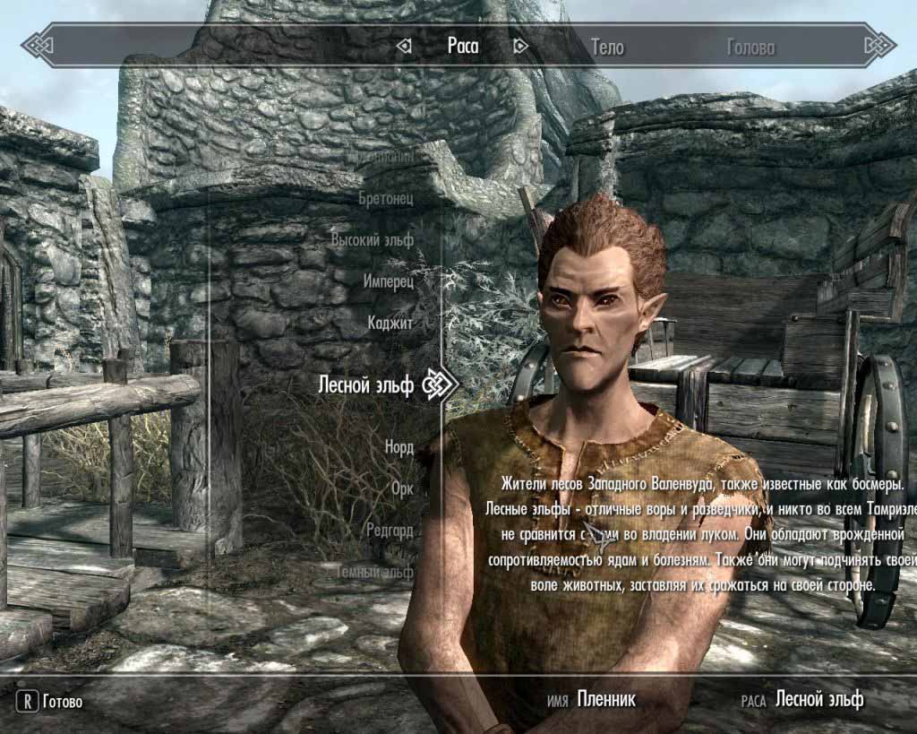 The Elder Scrolls V: Skyrim (2011) [RUS]