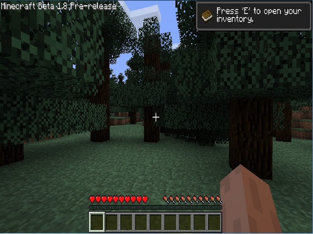 MineCraft 1.8 (2011/PC/Eng)