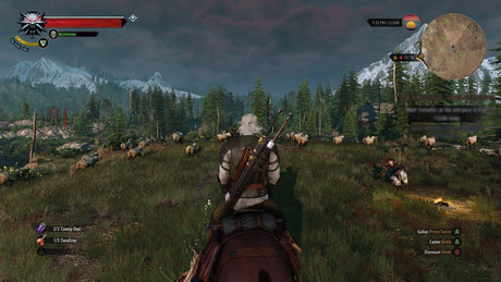 The Witcher 3 Wild Hunt Game of the Year Edition