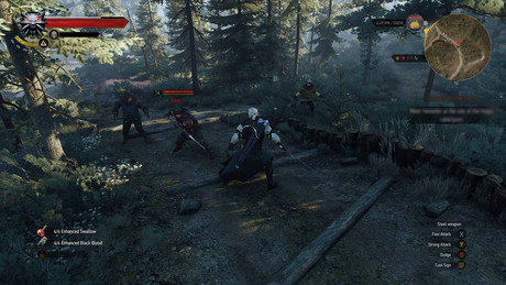The Witcher 3 Wild Hunt Game of the Year Edition