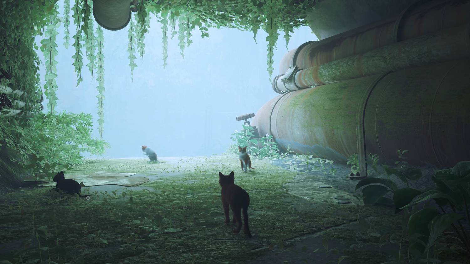 [PS4] Stray [EUR/RUS]