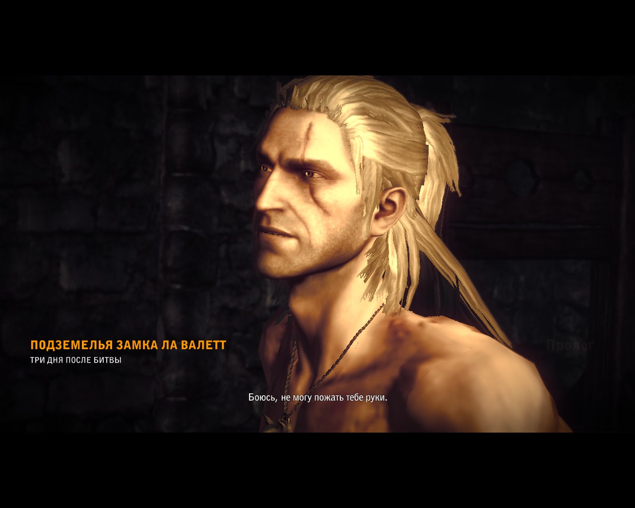 Ведьмак 2: Убийцы королей / The Witcher 2: Assassins of Kings [RUS]